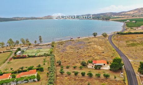 Αγροτεμάχια 6.000τ.μ. για πώληση-Ερμιόνη » Κέντρο