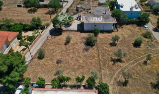 Αγροτεμάχια 299 τ.μ. για πώληση, Αργολίδα, Κρανίδι-thumb-4