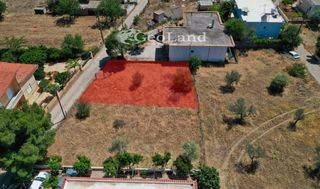 Αγροτεμάχια 299 τ.μ. για πώληση, Αργολίδα, Κρανίδι-thumb-5