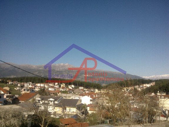 Parcel 9.500 sqm for sale, Ioannina Prefecture, Ioannina