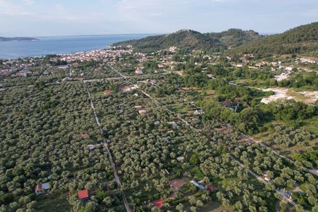 Αγροτεμάχια 4.006τ.μ. για πώληση-Θάσος » Κέντρο