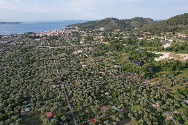 Αγροτεμάχια 4.006 τ.μ. για πώληση, Ν. Καβάλας, Θάσος