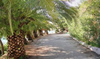 Βίλλα 335 τ.μ. για πώληση, Αργολίδα, Κρανίδι-thumb-21