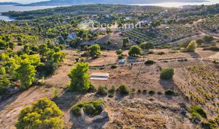 Αγροτεμάχια 2.248 τ.μ. για πώληση, Αργολίδα, Κρανίδι-thumb-11