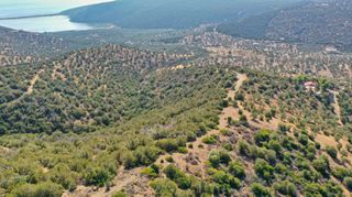 Αγροτεμάχια 10.400 τ.μ. για πώληση, Αργολίδα, Ερμιόνη-thumb-12