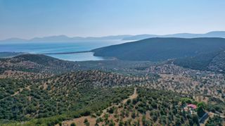 Αγροτεμάχια 10.400 τ.μ. για πώληση, Αργολίδα, Ερμιόνη-thumb-14