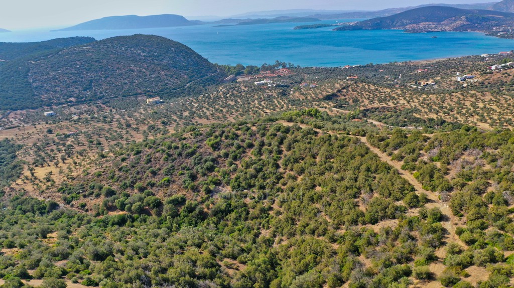 Αγροτεμάχια 10.400 τ.μ. για πώληση, Αργολίδα, Ερμιόνη