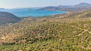 Αγροτεμάχια 10.400 τ.μ. για πώληση, Αργολίδα, Ερμιόνη-thumb-10