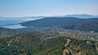 Αγροτεμάχια 10.400 τ.μ. για πώληση, Αργολίδα, Ερμιόνη-thumb-15