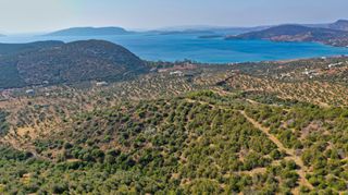 Αγροτεμάχια 10.400 τ.μ. για πώληση, Αργολίδα, Ερμιόνη-thumb-9