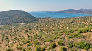 Αγροτεμάχια 10.400 τ.μ. για πώληση, Αργολίδα, Ερμιόνη-thumb-2