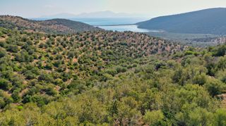 Αγροτεμάχια 10.400 τ.μ. για πώληση, Αργολίδα, Ερμιόνη-thumb-11