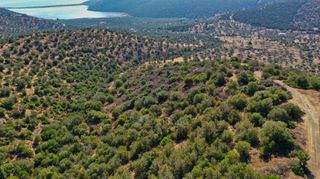 Αγροτεμάχια 10.400 τ.μ. για πώληση, Αργολίδα, Ερμιόνη-thumb-4