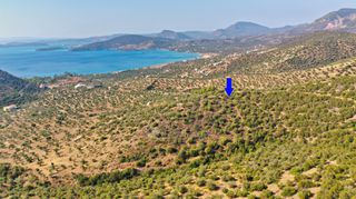 Αγροτεμάχια 10.400 τ.μ. για πώληση, Αργολίδα, Ερμιόνη-thumb-3