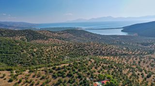 Αγροτεμάχια 10.400 τ.μ. για πώληση, Αργολίδα, Ερμιόνη-thumb-5