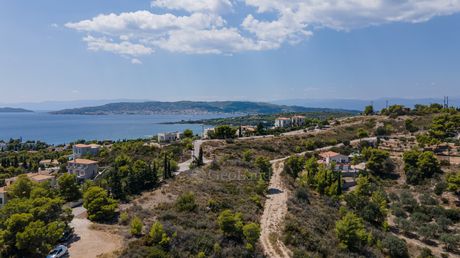 Αγροτεμάχια 4.000τ.μ. για πώληση-Κρανίδι » Άγιος αιμιλιανός