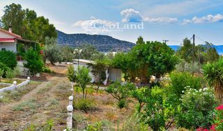 Κτίριο 658 τ.μ. για πώληση, Αργολίδα, Ερμιόνη-thumb-21