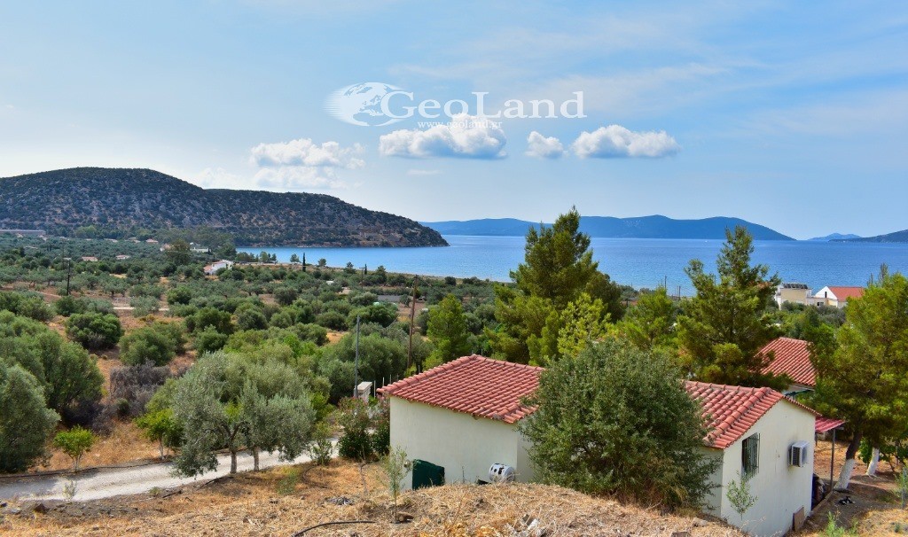 Κτίριο 658 τ.μ. για πώληση, Αργολίδα, Ερμιόνη