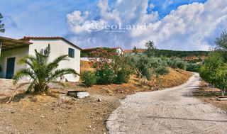 Κτίριο 658 τ.μ. για πώληση, Αργολίδα, Ερμιόνη-thumb-13