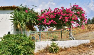 Κτίριο 658 τ.μ. για πώληση, Αργολίδα, Ερμιόνη-thumb-11