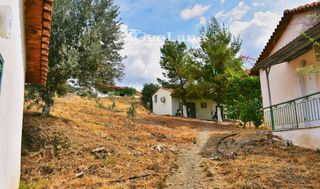 Κτίριο 658 τ.μ. για πώληση, Αργολίδα, Ερμιόνη-thumb-16