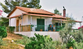 Κτίριο 658 τ.μ. για πώληση, Αργολίδα, Ερμιόνη-thumb-19