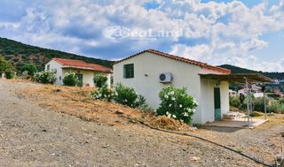 Κτίριο 658 τ.μ. για πώληση, Αργολίδα, Ερμιόνη-thumb-5