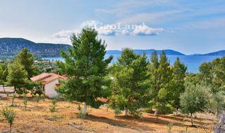 Κτίριο 658 τ.μ. για πώληση, Αργολίδα, Ερμιόνη-thumb-7