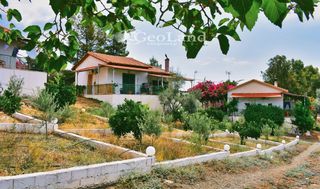 Κτίριο 658 τ.μ. για πώληση, Αργολίδα, Ερμιόνη-thumb-20