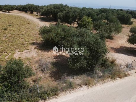 Οικόπεδο 8.000 τ.μ. για πώληση