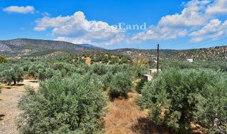 Κτίριο 250 τ.μ. για πώληση, Αργολίδα, Ερμιόνη-thumb-20