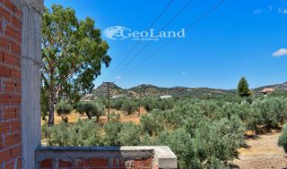 Κτίριο 250 τ.μ. για πώληση, Αργολίδα, Ερμιόνη-thumb-21