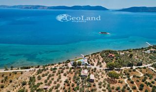 Κτίριο 250 τ.μ. για πώληση, Αργολίδα, Ερμιόνη-thumb-19
