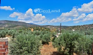 Κτίριο 250 τ.μ. για πώληση, Αργολίδα, Ερμιόνη-thumb-24