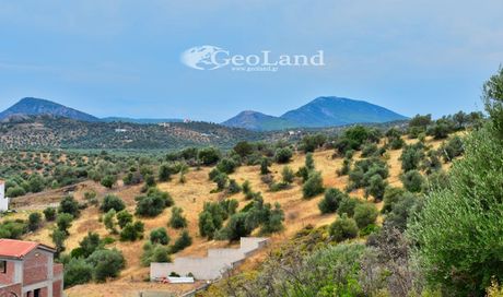 Parcel 4.000sqm for sale-Ermioni » Achladitsa