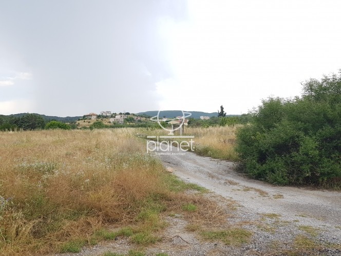 Αγροτεμάχια 5.206 τ.μ. προς πώληση, Σουρωτή