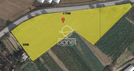Parcel 6.000sqm for sale-Thermi » Nea Raidestos
