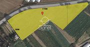 Parcel 6.000sqm for sale-Thermi » Nea Raidestos