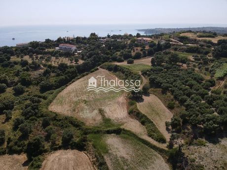 Land plot 10.000 sqm for sale