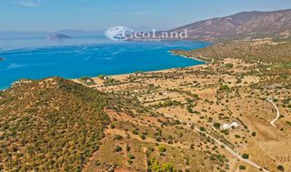 Αγροτεμάχια 5.688 τ.μ. για πώληση