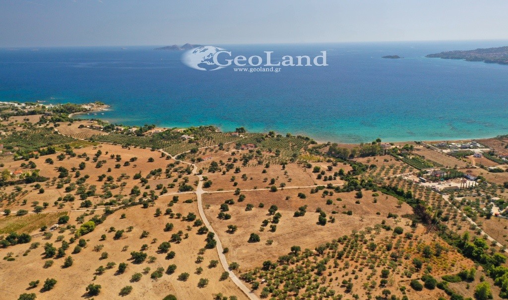 Αγροτεμάχια 5.397 τ.μ. για πώληση, Αργολίδα, Κρανίδι