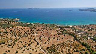 Αγροτεμάχια 5.397 τ.μ. για πώληση