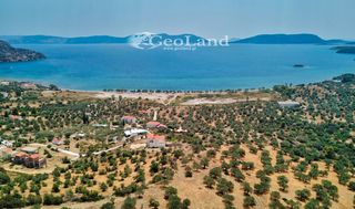 Αγροτεμάχια 5.700 τ.μ. για πώληση, Αργολίδα, Ερμιόνη-thumb-22