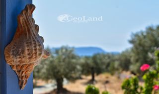 Αγροτεμάχια 5.700 τ.μ. για πώληση, Αργολίδα, Ερμιόνη-thumb-8