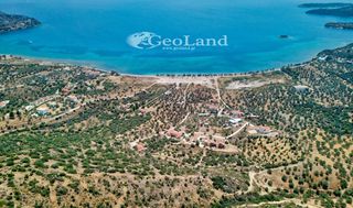 Αγροτεμάχια 5.700 τ.μ. για πώληση, Αργολίδα, Ερμιόνη-thumb-20