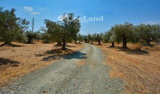 Αγροτεμάχια 5.700 τ.μ. για πώληση, Αργολίδα, Ερμιόνη-thumb-14