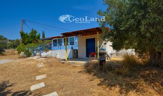 Αγροτεμάχια 5.700 τ.μ. για πώληση, Αργολίδα, Ερμιόνη-thumb-12