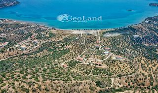 Αγροτεμάχια 5.700 τ.μ. για πώληση, Αργολίδα, Ερμιόνη-thumb-19