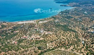 Αγροτεμάχια 5.700 τ.μ. για πώληση, Αργολίδα, Ερμιόνη-thumb-21