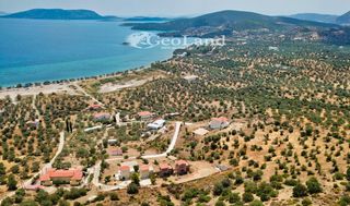 Αγροτεμάχια 5.700 τ.μ. για πώληση, Αργολίδα, Ερμιόνη-thumb-24